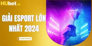 https://hubet.cx/wp-content/uploads/2025/02/giai-esport-lon-nhat-2024_2_11zon.webp